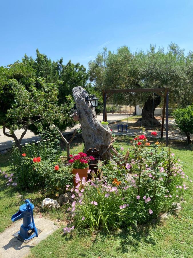 Wine & Olive Studio Gerakini Exterior photo