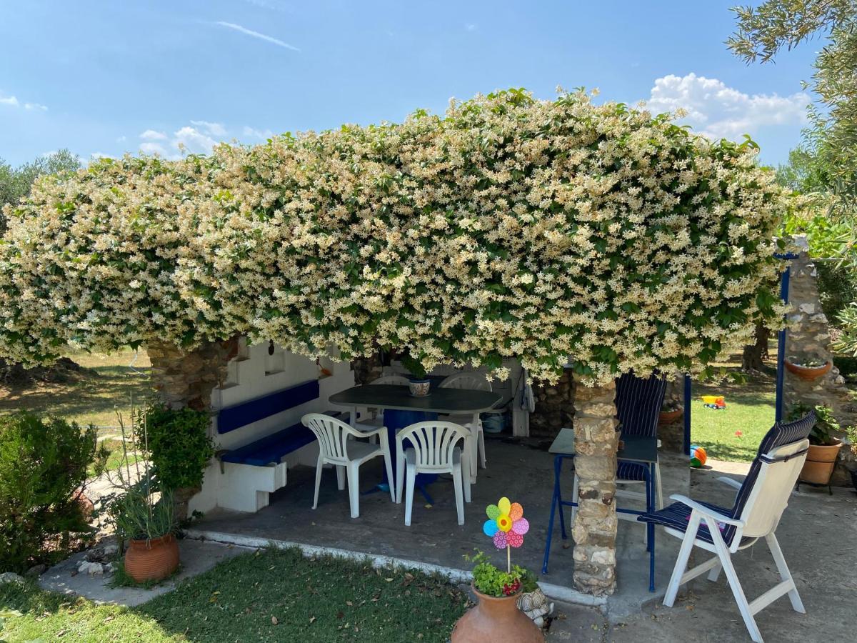 Wine & Olive Studio Gerakini Exterior photo